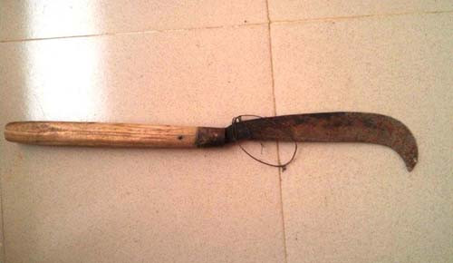 Con dao chị Đông gây án