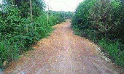 Đoạn đường vắng nơi thiếu nữ bị hiếp dâm. Ảnh: CTV.