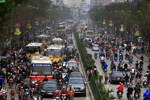 Hà Nội sẽ di chuyển chặt hạ 35 cây xanh trên đường Cầu Giấy phục vụ thi công tuyến ĐSĐT 