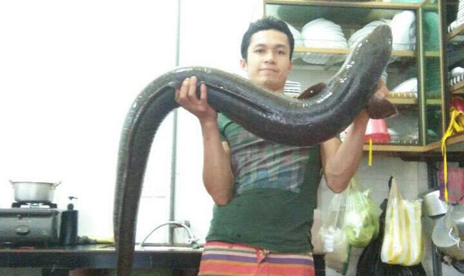 Con cá lệch khủng được một cần thủ bắt được trên thượng nguồn sông Nậm Nơn.