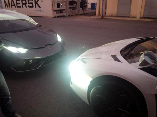 Cặp "siêu bò" hàng chính hãng đặt chân đến Việt Nam.