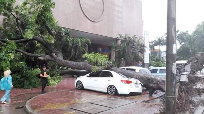 Cây đổ đè bẹp ô tô trên phố Hai Bà Trưng trưa nay. Ảnh Nguyễn Tuân