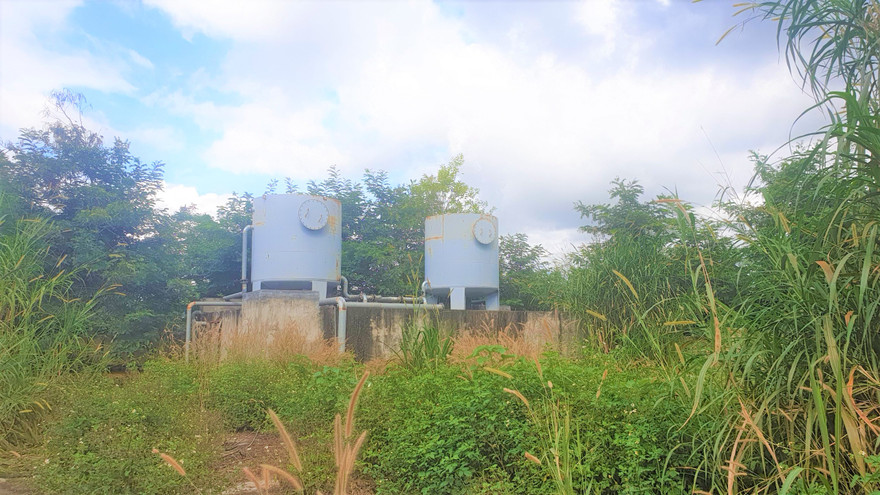 Cỏ phủ quanh bồn chứa nước