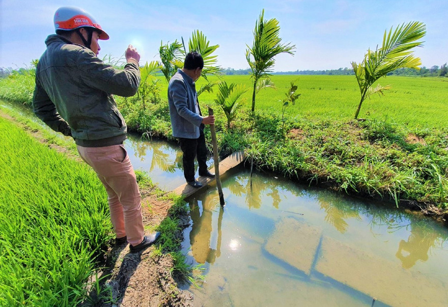 Kênh thấp hơn mặt ruộng