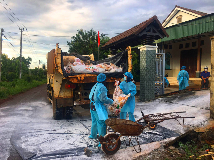 Tiêu hủy đàn gia cầm bị cúm A/H5N6