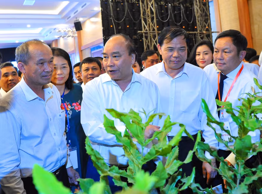 Thủ tướng Nguyễn Xuân Phúc tìm hiểu giống cây Mắc ca