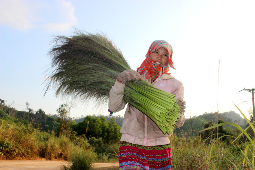 Săn 'lộc rừng' trên thảo nguyên M’đrắk