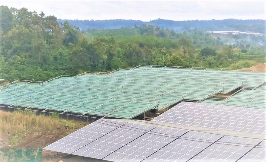 Tấm quang năng, bị tháo gỡ sau khi lắp đặt chưa đầy 2 tháng