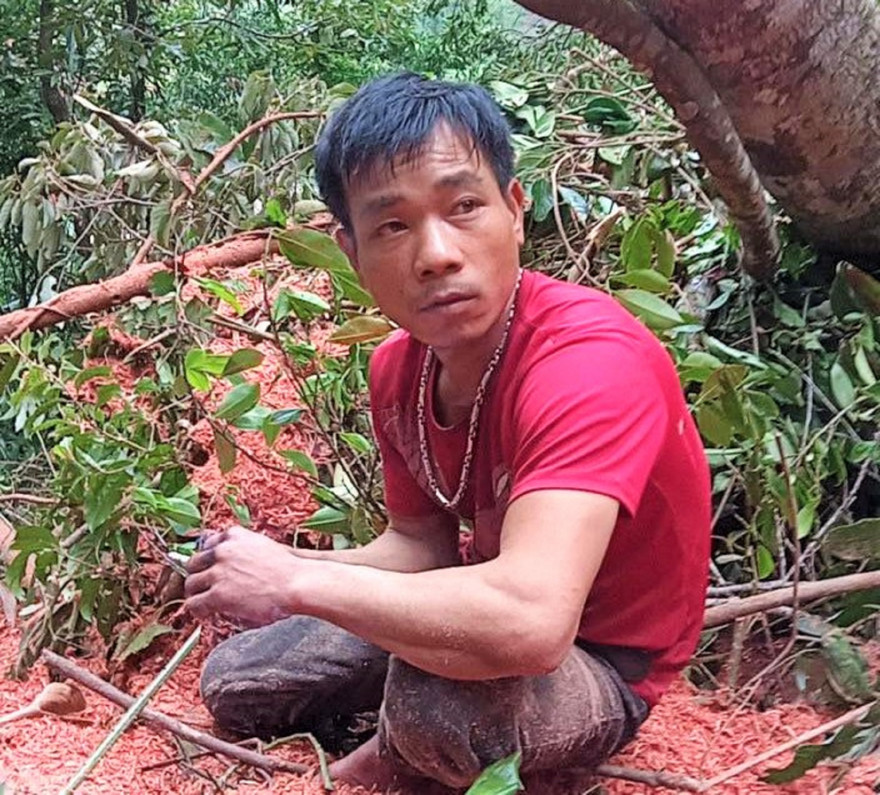 Đối tượng Nông Văn Nam