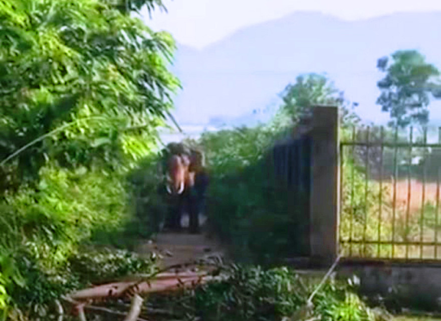 Con voi tấn công anh Y Drim tử vong