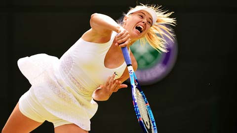 Sharapova đang tra tấn các fan tại Wimbledon năm nay.