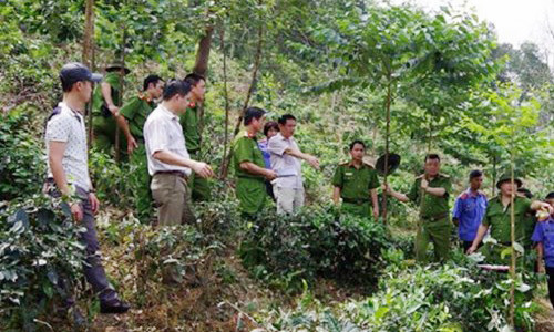 Lực lượng chức năng tại hiện trường phát hiện ra sự việc