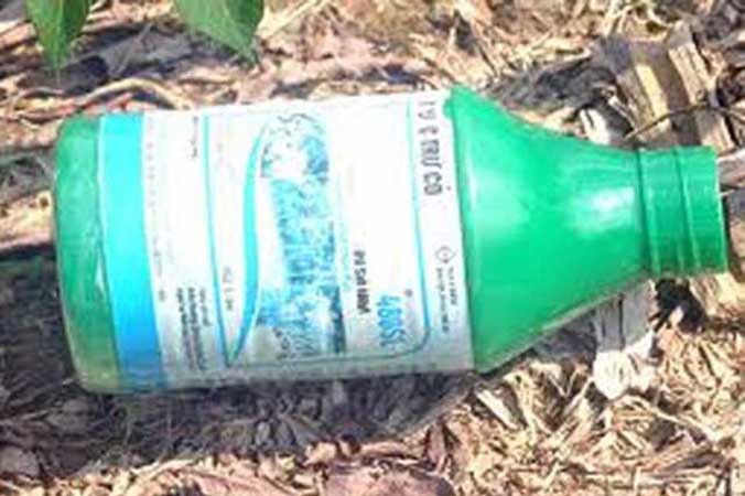 Hai chị em uống thuốc cỏ tự vẫn. Ảnh minh hoạ.