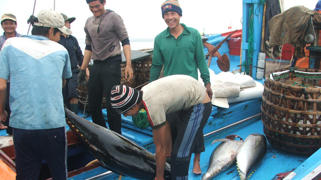 Niềm vui trên con tàu ăm ắp lộc biển sau hành trình đánh bắt xuyên Tết của ông Bổn