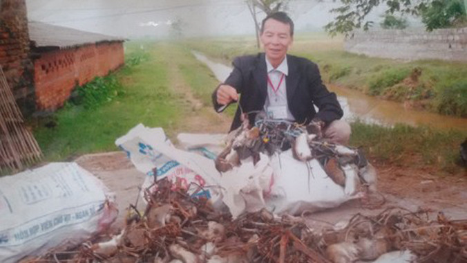 Thành quả mà ông Thiều đạt được trong một lần diệt chuột.