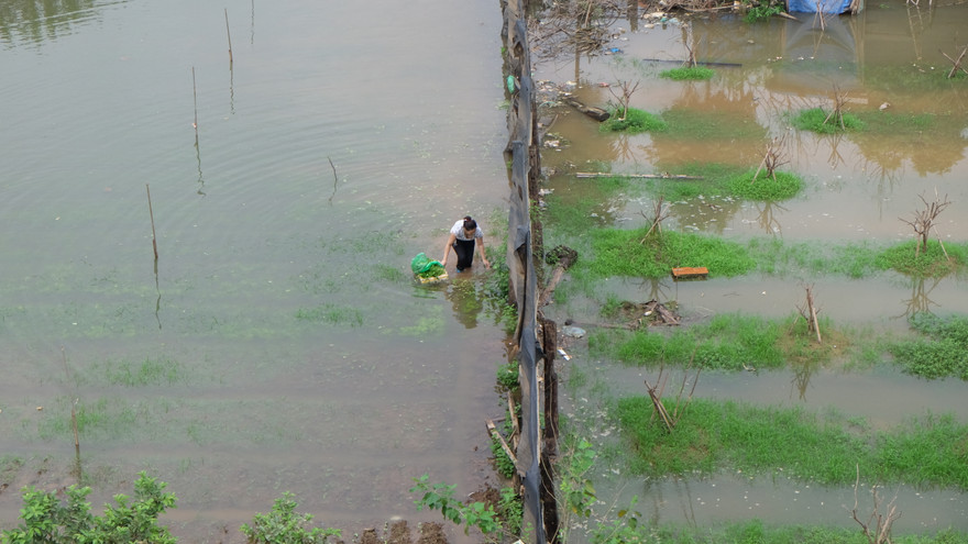 Dân xóm nổi sông Hồng thấp thỏm với lũ