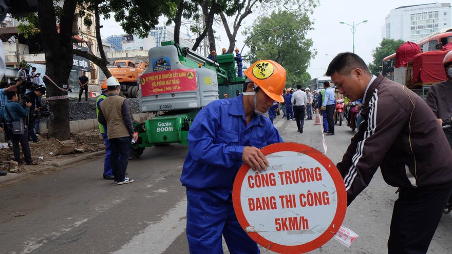 Hà Nội: Ngày đầu chặt hạ, đánh chuyển gần 1.300 cây xanh