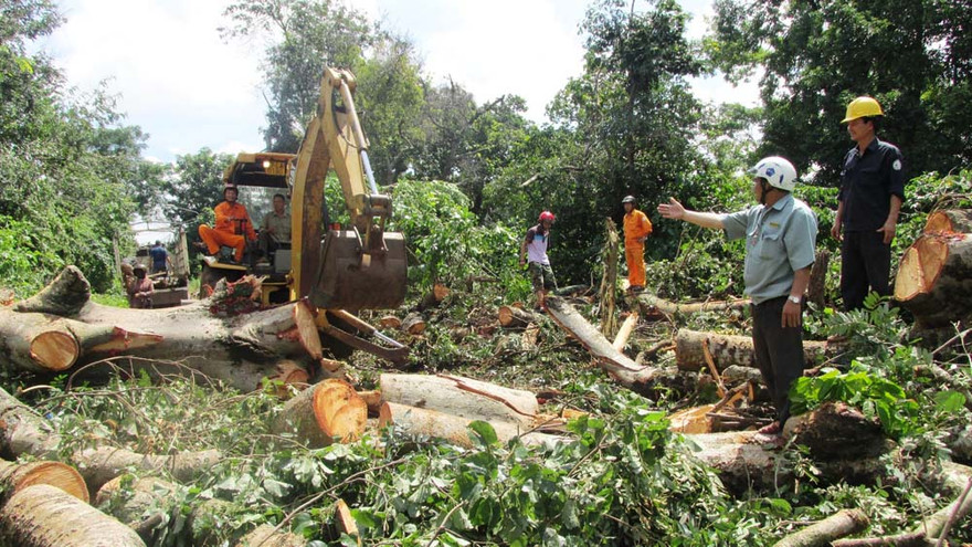 Ông thọ đang chỉ đạo công nhân thu dọn cây đổ ở đường Đinh Núp.