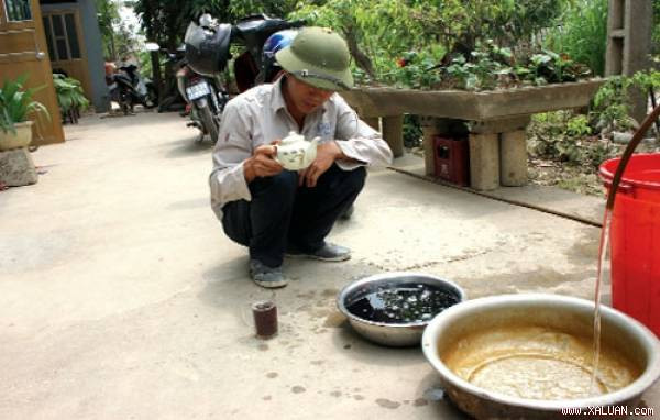 Nước giếng khoan đổi màu khi cho một chút nước chè xanh vào. Ảnh: N.Văn 