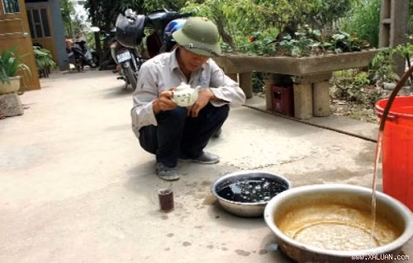 Nước giếng khoan đổi màu khi cho một chút nước chè xanh vào. Ảnh: N.Văn 