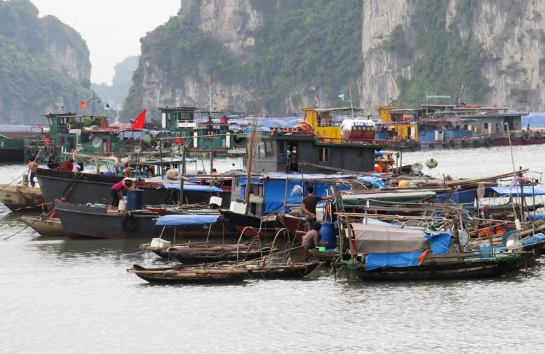 Tàu thuyền về nơi neo đậu tránh bão số 1 tại TP Hạ Long 