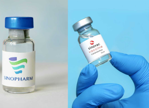 Hình ảnh vắc-xin COVID-19 của Sinovac và Sinopharm. (Ảnh: Gavi)