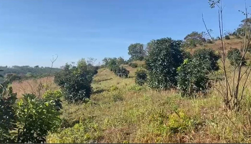 Phần đất cấp cho gia đình ông Sơn trái quy định 