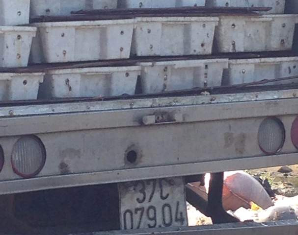 Xe tải chở cá đang phân hủy.