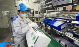 Nắm bắt cơ hội phát triển bền vững và chuyển đổi xanh trong ngành công nghiệp