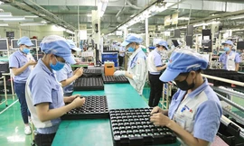 Tìm giải pháp nâng cao năng lực nội địa hoá, xây dựng chuỗi cung ứng