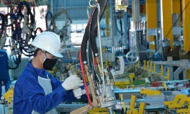 Cần cơ chế, 'vốn mồi' và cả chế tài để doanh nghiệp sử dụng năng lượng hiệu quả