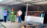 Khởi tố 6 đối tượng trộm hơn 5.200 con chó