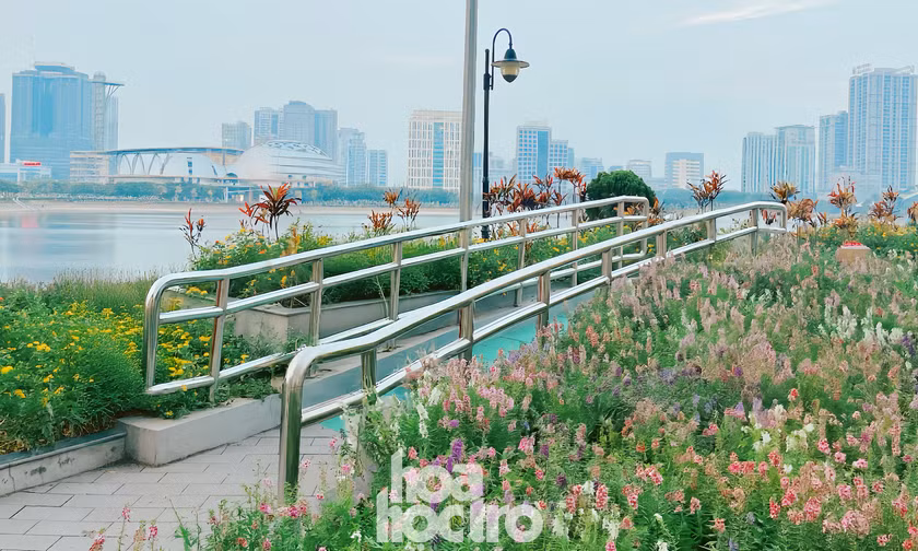 Ngoài hoa violet Nhật gây sốt, công viên An Hòa còn có view ngắm hoàng hôn xịn