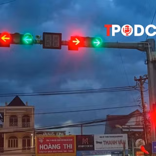 Đèn xanh bất ngờ chuyển đỏ, tài xế đi qua có bị phạt không?