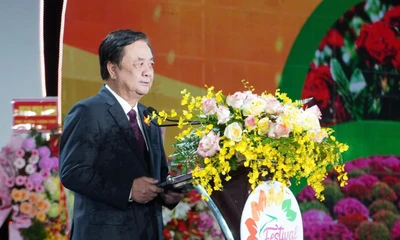 Làng hoa Sa Đéc rực rỡ chuẩn bị Festival Hoa – Kiểng