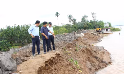 Vĩnh Long sẽ chuyển cồn 30ha bị sạt lở trên sông Cổ Chiên thành mỏ cát