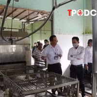 NÓNG 2/6: Liên quan vụ C.P.: Hình ảnh heo bị bệnh là thật, nhưng chụp để báo cáo tiêu hủy