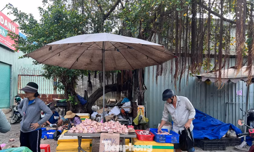 Thịt đông lạnh nhập khẩu: Mua càng nhiều, giá càng rẻ