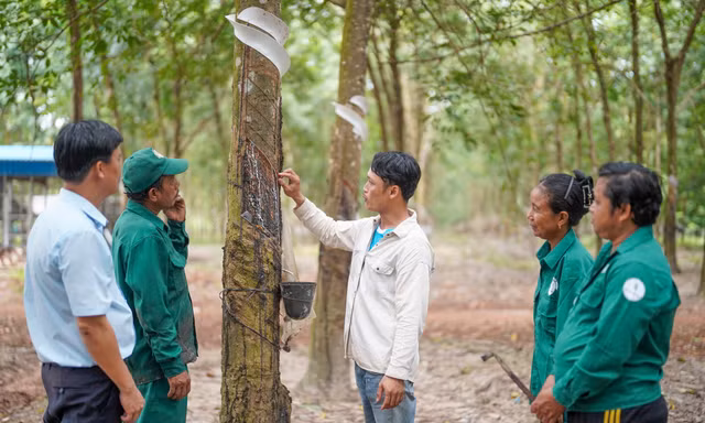 VRG lan tỏa phong trào thi đua yêu nước bằng hành động thiết thực