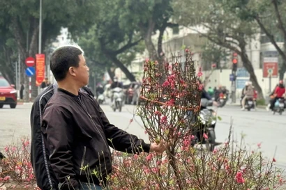 Bộ Tài chính thông tin về giá cả thị trường Tết 