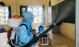 TPHCM: Dịch sốt xuất huyết 'tấn công' trường học