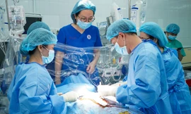 Ca ghép tim kịch tính và câu chuyện bác sĩ ngăn vợ bệnh nhân đi 'vay nóng' 