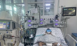 Bé trai 4 tuổi trong vụ nhóm trẻ bị đàn ong vò vẽ đốt thoát chết thần kỳ