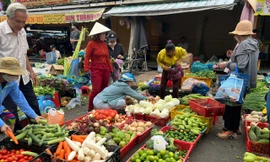 Lý do nguồn cung khá ổn định nhưng giá rau tăng chóng mặt ở TPHCM
