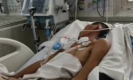 Cảnh báo gia tăng người trưởng thành mắc viêm não Nhật Bản 