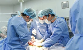 Bản đồ ghép tạng Việt Nam có thêm ‘trạm trung chuyển sự sống’ ở phía Nam