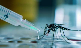 Việt Nam thử nghiệm lâm sàng giai đoạn 3 vắc xin sốt xuất huyết