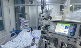 'Cơn bão Cytokine' trong sốt xuất huyết gây tổn thương tụy hiếm gặp