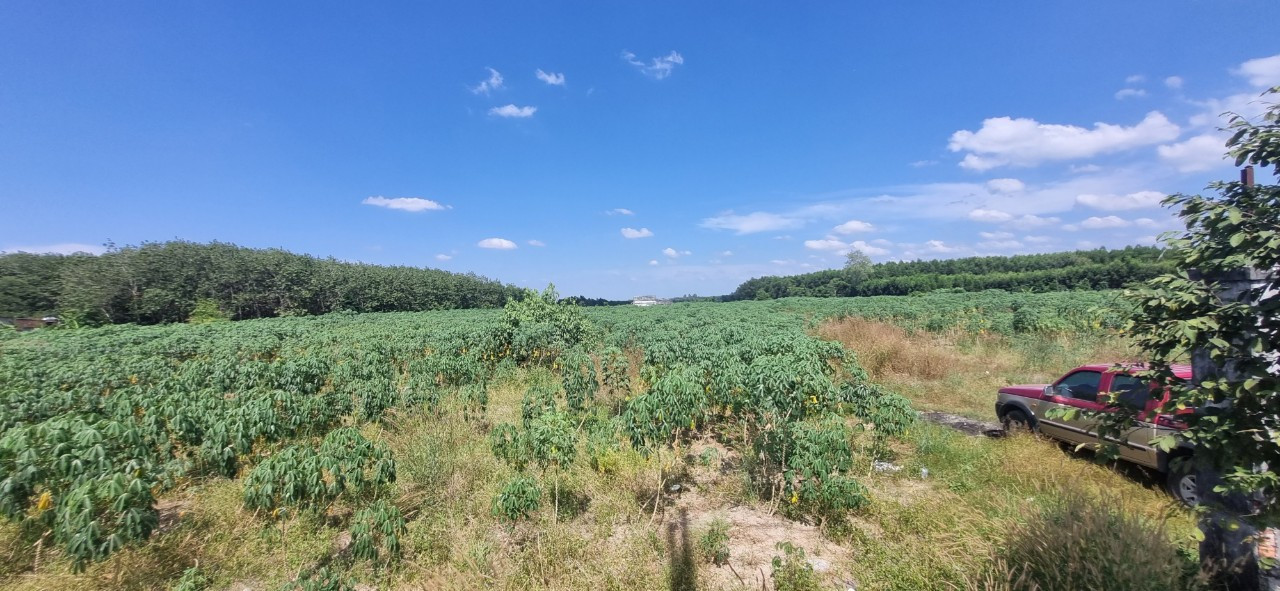 Đất sản xuất nông nghiệp được xây công trình với diện tích theo quy định