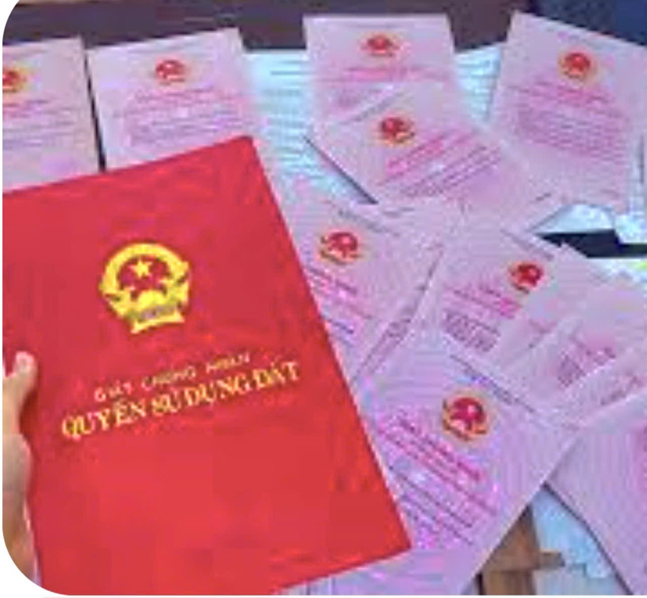 Hình minh họa Hình minh họa